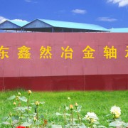 臨清市鑫然軸承有限公司