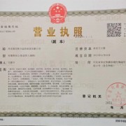 河北雄安振芳科技信息有限公司